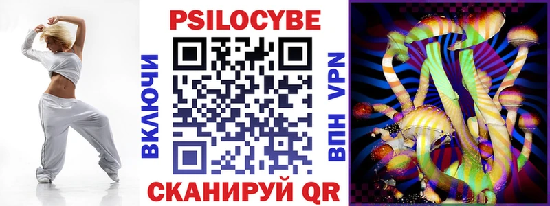 где продают наркотики  Тогучин  Псилоцибиновые грибы мухоморы 