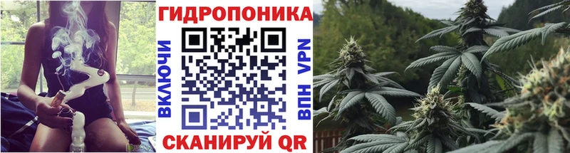 МАРИХУАНА планчик мега онион Тогучин